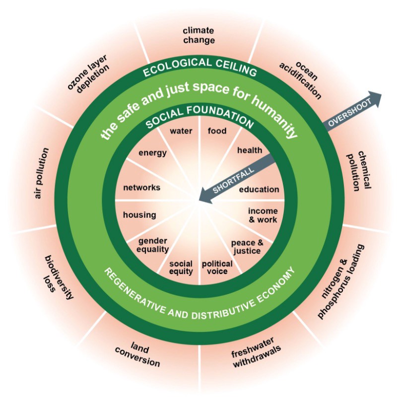 Doughnut Economics — Kate Raworth